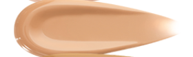 ICD MAKEUP LUMINOUS GLOW CUSHION (21 Light)